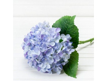 ���������, 70 ��