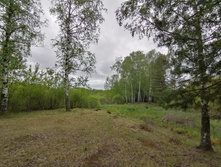 IMG 20200523 133201.jpg