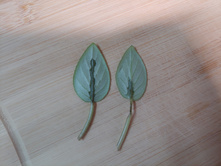 ������� �����