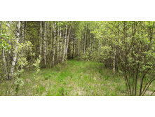 IMG 20200523 130600.jpg