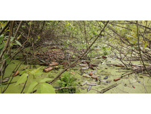 IMG 20200523 115712.jpg