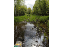 IMG 20200523 140308.jpg