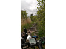 IMG 20200523 113552.jpg