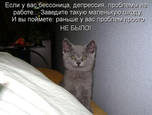 �������� ���� ������ ...