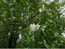 IMG 20200523 134712.jpg