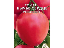 ����� ������ �������