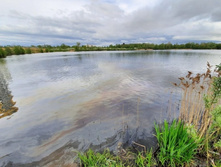 D9da3409ecdf5fc039fefc779b7a4a9901b12545 727 485 c.jpg