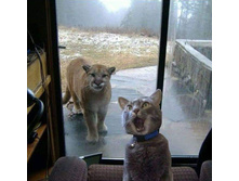 ������, ������ �����! ������������ ��� ��������!