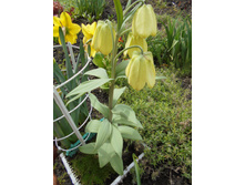 ���������������