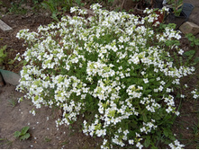 ������ ���������� � ��������