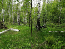 IMG 20200523 134511.jpg