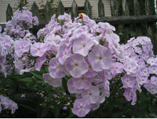 ����� "������ ������"