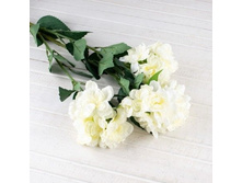 ����� �������, 84 ��