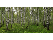 IMG 20200523 121506.jpg