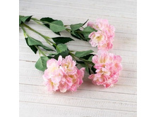 ����� �������, 84 ��