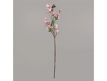 ����� ������, 103 ��