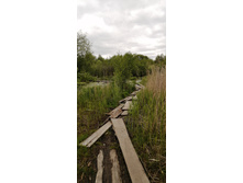 IMG 20200523 114502.jpg