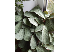 IMG 20190905 150816.jpg