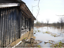 ���, ��������� �� ���� ������.