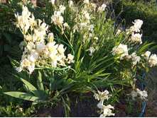 ������ ��� ��������� ��������� ����� �����