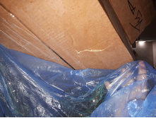 ������� ����