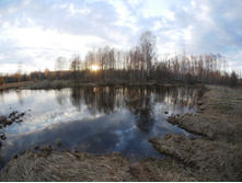 ���� ����� ����