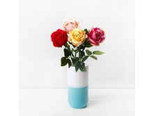 ����, 58 ��