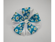 ���� �� ������� ������� (�����)