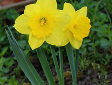 IMG 0739 ������ �������.jpg