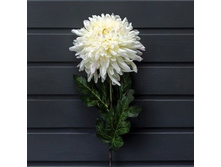 ���������� ����� (�����.) (��������)