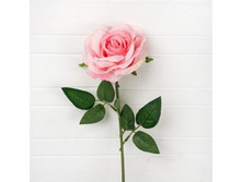 ���� h-58��, 75 �