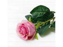 ���� ������������� h-80��