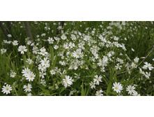 IMG 20200523 120556.jpg