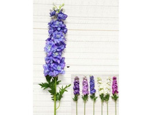 ����������, 100 ��