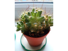 ���������� ����������))