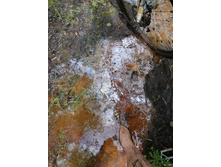 IMG 20200523 135955.jpg