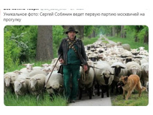 Screenshot 20200529 230121.jpg