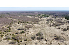 ��� �� ������-������. ������� �����������