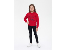 ��������� ������� � ��������� �������� �Disney DD 970