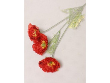 ����� ���, 60 ��