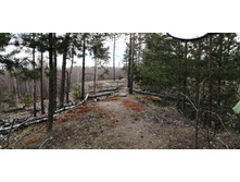 IMG 20200430 164241.jpg