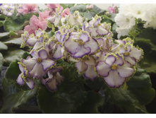 ��-�������� �1.jpg