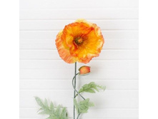 ��� 1 ������+1 ����� h-70 �� (����)