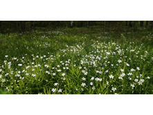 IMG 20200523 120527.jpg