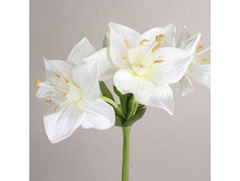 ������ 65 ��