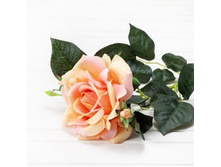 ���� ������������� ����� h70��