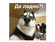 Screenshot 20200506 102825.jpg