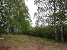 IMG 20200523 132508.jpg