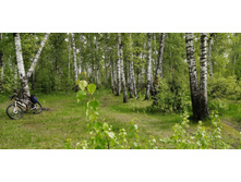 IMG 20200523 141648.jpg