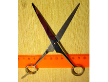 ������� � ������-8.JPG